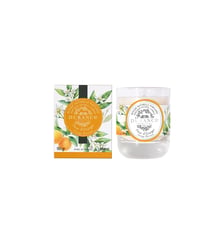  Fleur d'Oranger - Bougie Naturelle Parfumée Durance