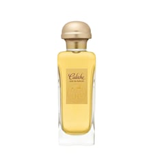 Soie de parfum HERMÈS