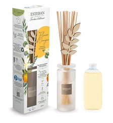 Bouquet parfumé rechargeable Esteban Paris Parfums