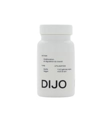 Transit léger Dijo