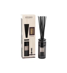  Cèdre - Bouquet Parfumé Initial Esteban Paris Parfums
