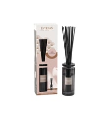 Bouquet parfumé initial 100 ml Esteban Paris Parfums