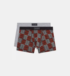 Lot de 2 boxers coton Calvin Klein