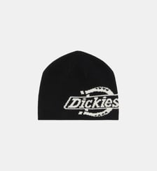 Bonnet Summerdale Logo Beanie Dickies