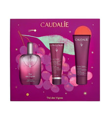 Coffret Thé des Vignes - Noel 2026 Caudalie