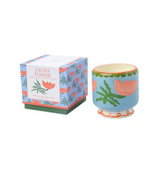 Cactus Flower - Bougie parfumée pot en céramique Paddywax