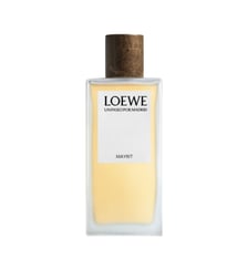 Mayrit  Eau de parfum Loewe