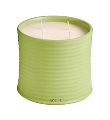 Cucumber - Bougie Parfumée - Petit Modèle Loewe