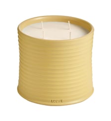 Honeysuckle - Bougie parfumée taille M Loewe