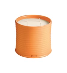 Grande Bougie Parfumée Loewe