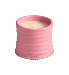 Petite Bougie parfumée Loewe