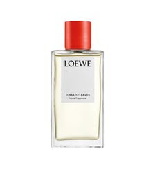 Parfum d'ambiance Loewe