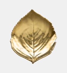 Feuille Hortensia Costa Nova
