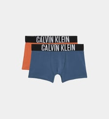 Lot de 2 boxers stretch signature en coton mélangé Calvin Klein
