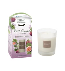 Bougie parfumée rechargeable Esteban Paris Parfums