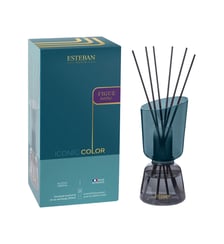 Bouquet parfumé rechargeable - Figue noire Esteban Paris Parfums