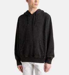 Hoodie Plentywood en coton mélangé Dickies