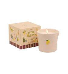 Bougie parfumée Meyer Lemon Paddywax
