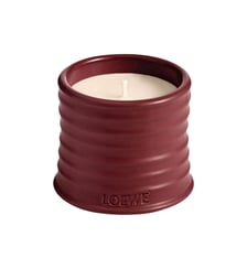 Betroot - Petite bougie parfumée Loewe