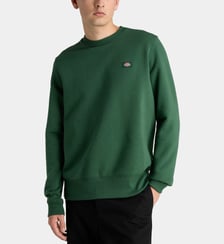 Sweat patch signature en coton Dickies