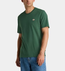 T-shirt Mapleton en coton Dickies