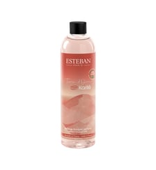 Recharge de parfum pour bouquet - 250 ml Esteban Paris Parfums
