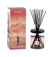 Bouquet parfumé ellipse rechargeable - 500 ml Esteban Paris Parfums