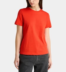 T-shirt logo brodé coton  Calvin Klein