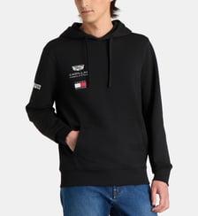 Hoodie Replica signature coton Tommy Hilfiger