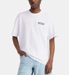 T-shirt coupe relaxed Plain City coton Dickies