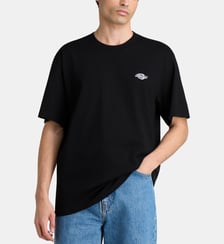 T-shirt MC Summerdale signature en coton Dickies