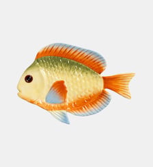Poisson Arc-En-Ciel &Klevering