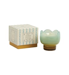 Glycine et Saule - Bougie parfumée Paddywax