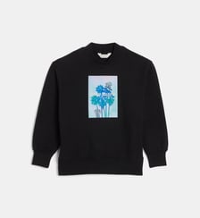 Sweat droit signature palmiers coton Palm Angels