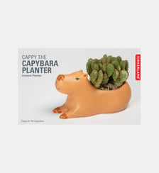 Pot pour Plante Grasse Kikkerland