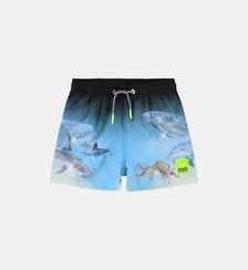 Short de bain Niko Molo