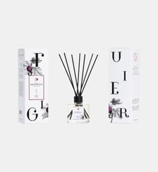 Figuier - Bouquet Parfumé Geodesis