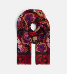 Etole Lyson à motif floral Galeries Lafayette