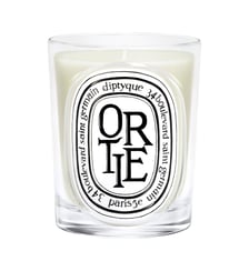 Bougie Parfumée Diptyque