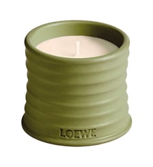 Petite bougie parfurmée Loewe