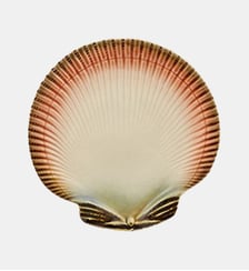 Assiette Bordallo Pinheiro