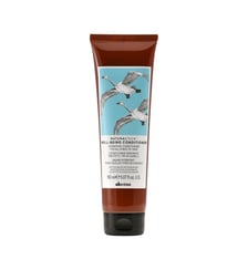 Après-shampoing Well-Being - Baume Hydratant Davines