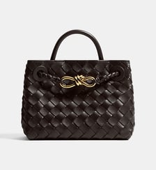 Sac à main Mini Andiamo en cuir Bottega Veneta