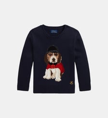 Pull col rond en tricot intarsia Polo Ralph Lauren