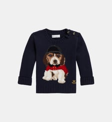 Pull en coton à col rond Polo Ralph Lauren