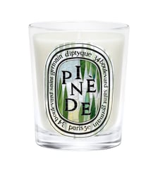 Bougie modèle classique Diptyque