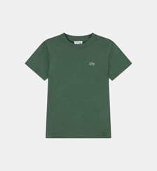 T-shirt droit coton crocodile Lacoste