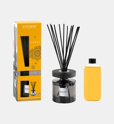 Ambre - Bouquet Parfumé Ellipse Rechargeable Esteban Paris Parfums