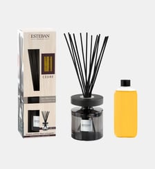 Cèdre - Bouquet Parfumé Ellipse Rechargeable Esteban Paris Parfums