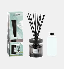 Pur Lin - Bouquet Parfumé Ellipse Rechargeable Esteban Paris Parfums